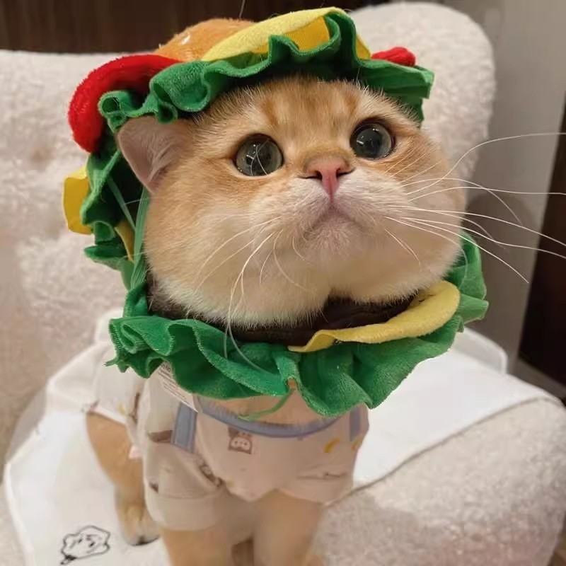 Burger Buddy Hat for Pets Under 9kg | Insta-Worthy Cute Pet Costume 🍔🐾