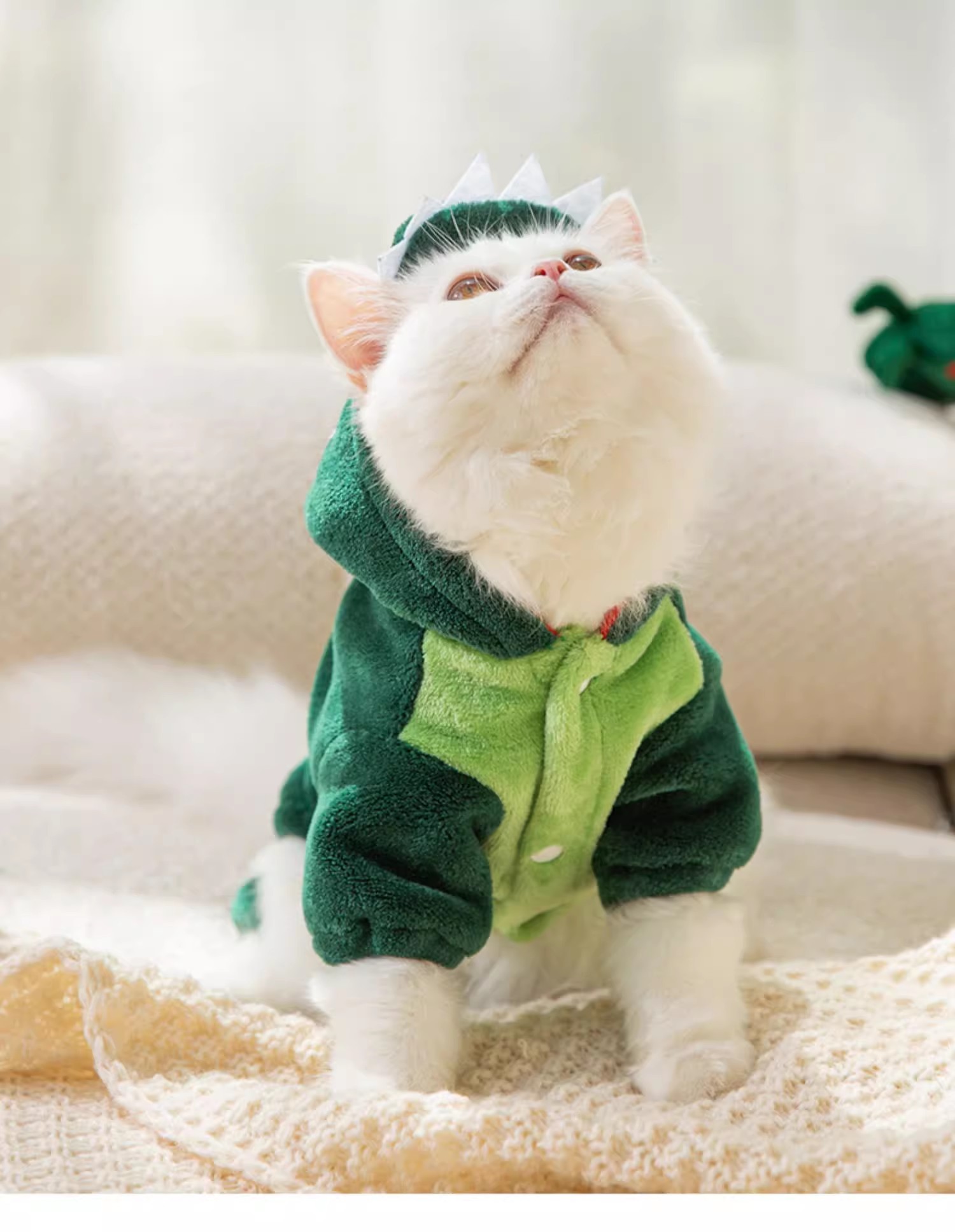 猫咪恐龙衣服9.jpg
