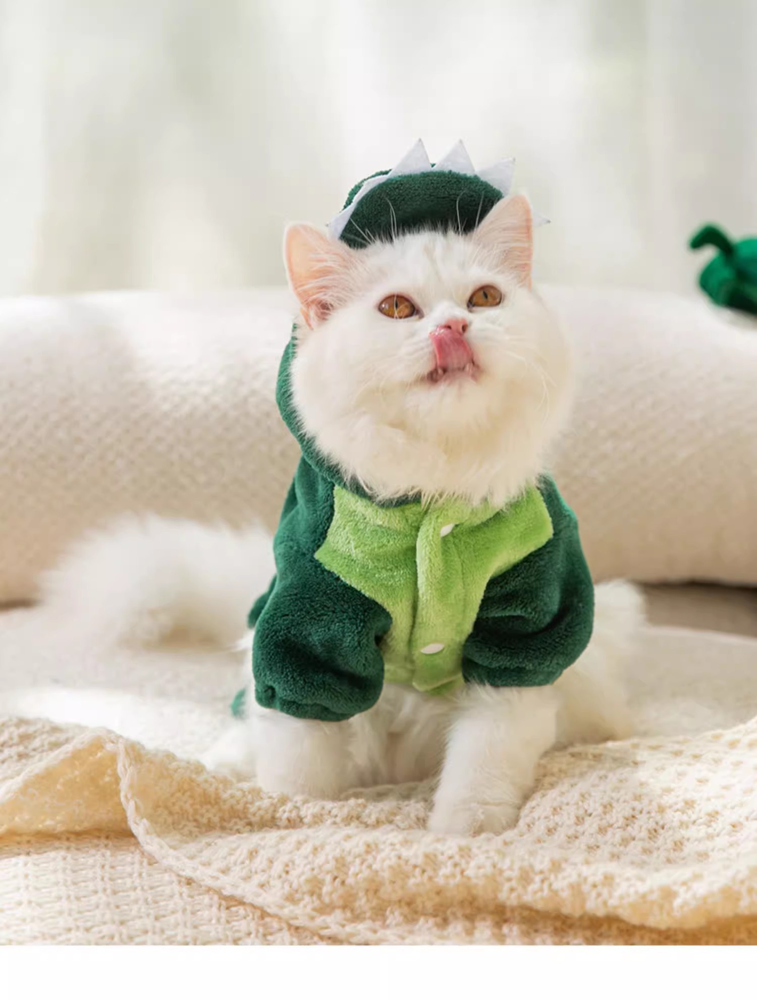 猫咪恐龙衣服8.jpg