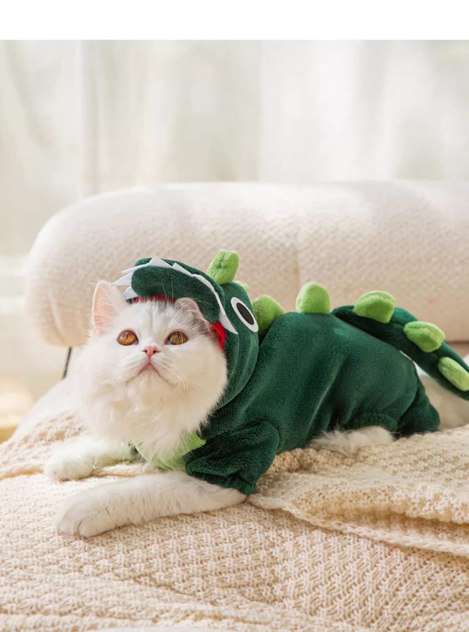 猫咪恐龙衣服5.jpg