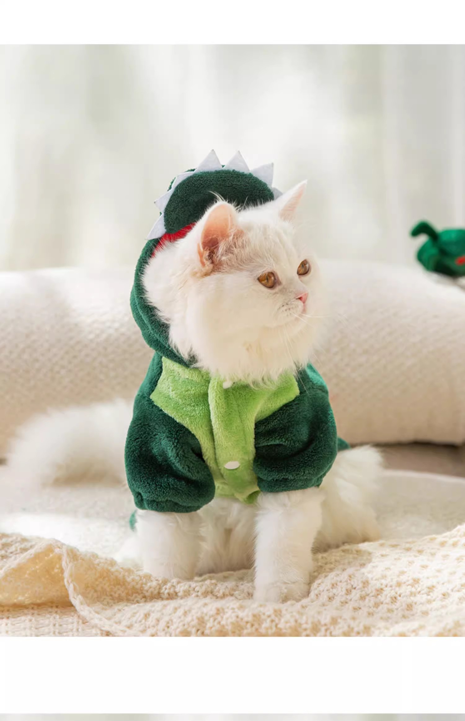 猫咪恐龙衣服7.jpg