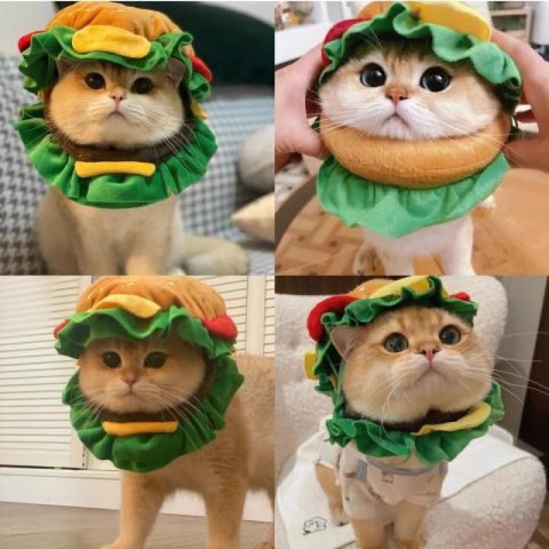 猫咪汉堡帽子4.jpg