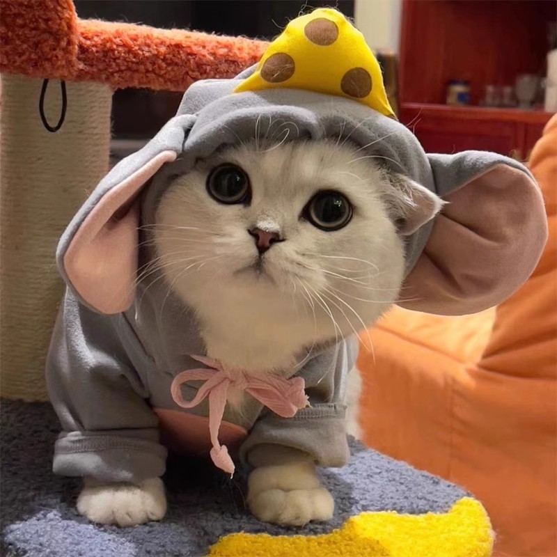 猫咪大老鼠衣服4.jpg