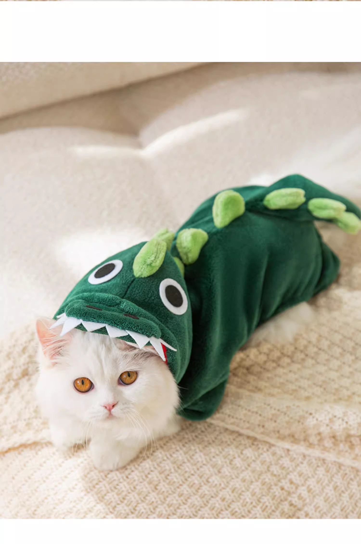 猫咪恐龙衣服6.jpg
