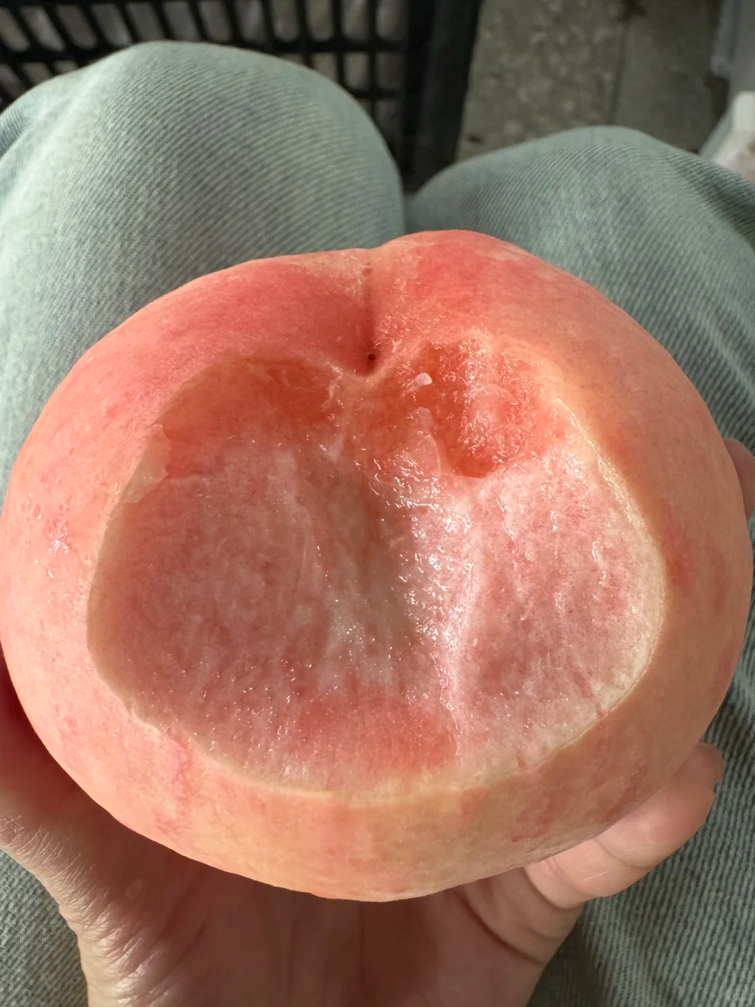 水蜜桃 5kg