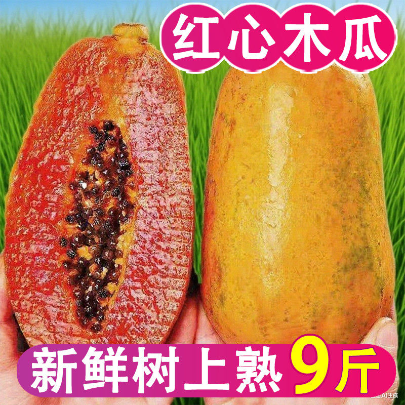 红心牛奶木瓜正宗整箱新鲜孕妇水果当季净重1斤中果【单果300克以上】