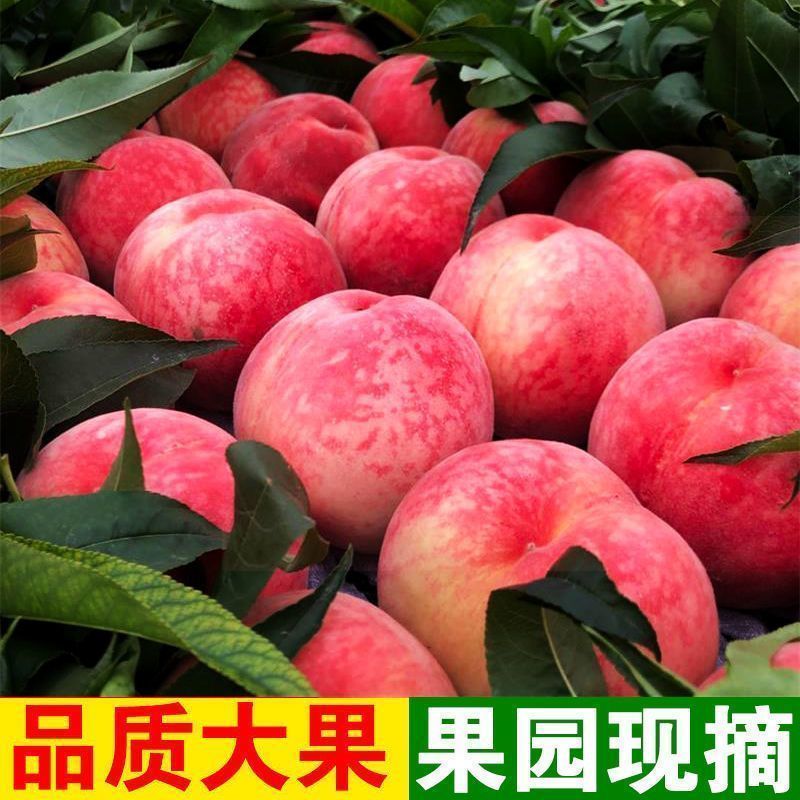 【彩箱】水蜜桃4.6斤现摘毛桃当季应季水果脆甜红不软桃子批
