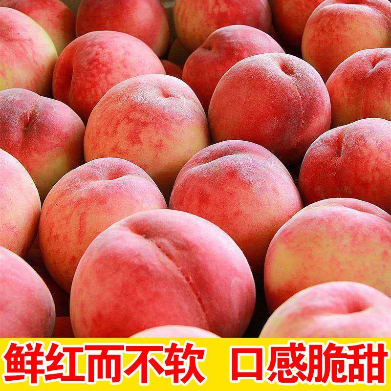 【彩箱】水蜜桃4.6斤现摘毛桃当季应季水果脆甜红不软桃子批